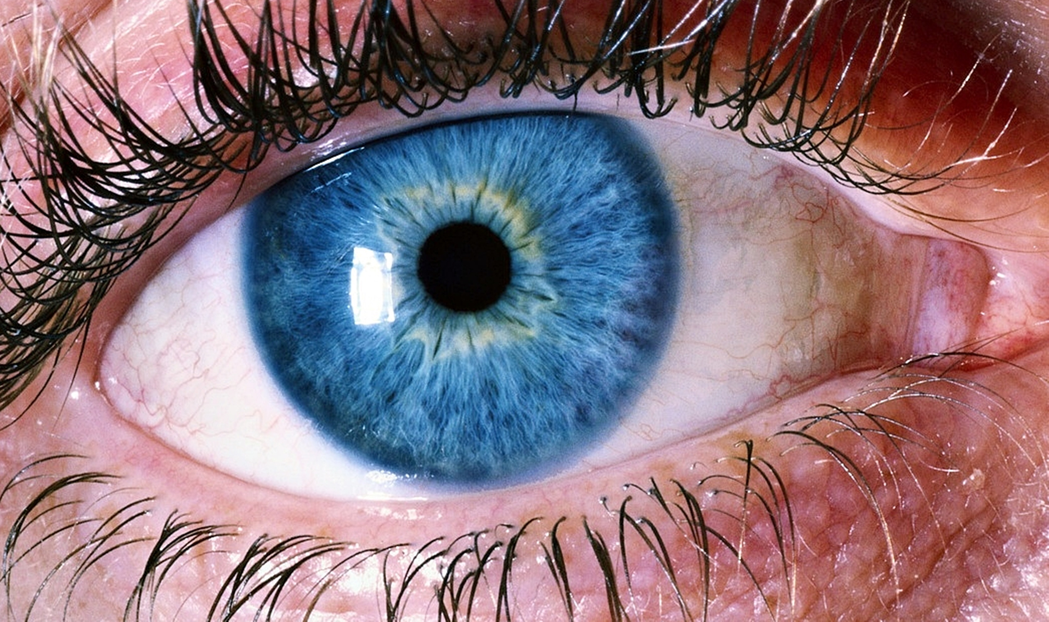 Eyes/Vision