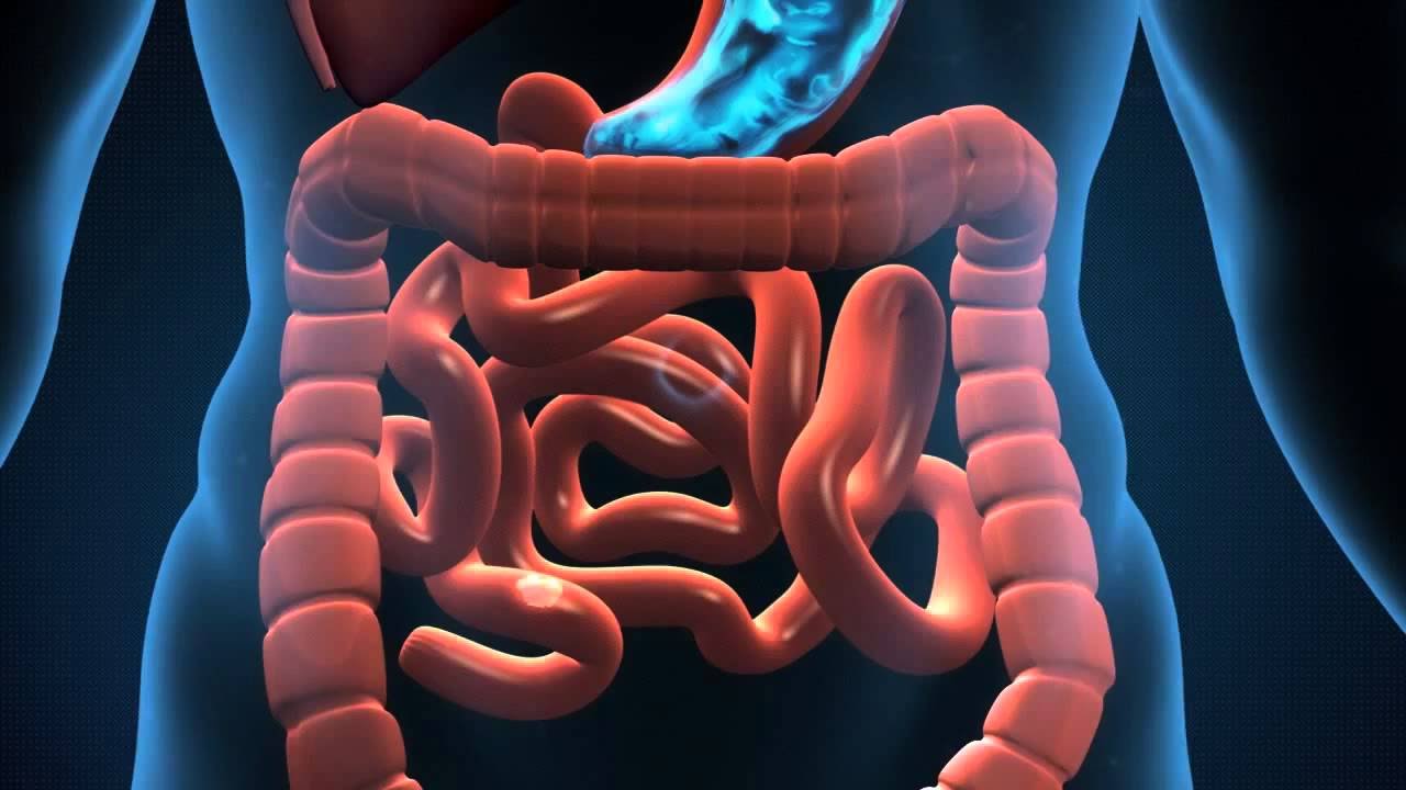 Intestinal problems general