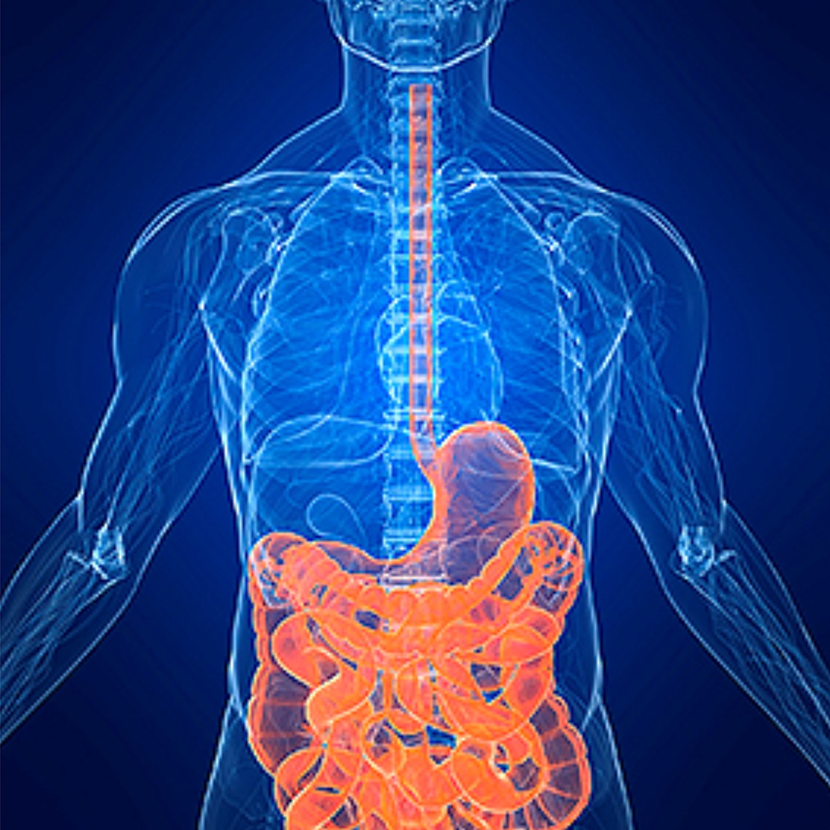 Intestinal problems colon