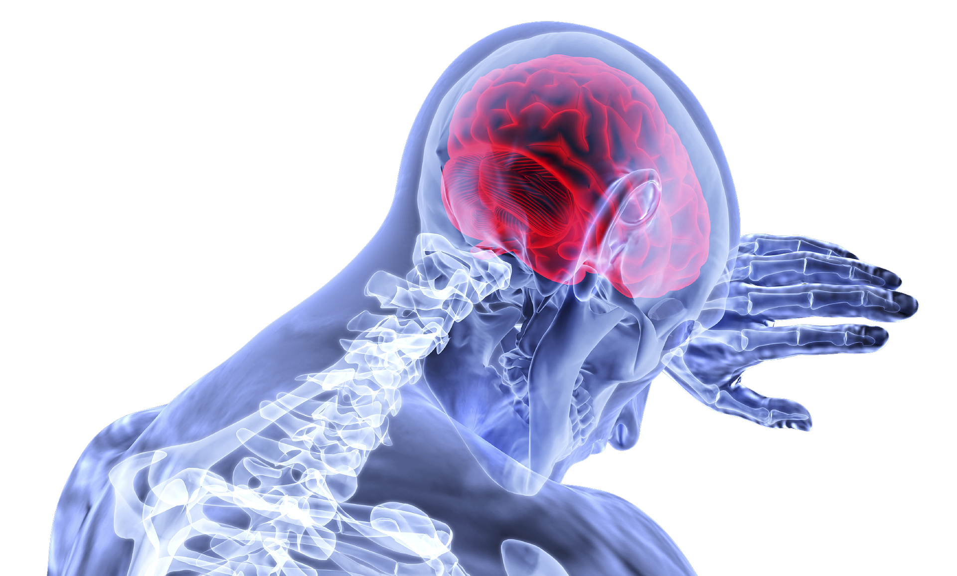 Multiple sclerosis tremor or twitch