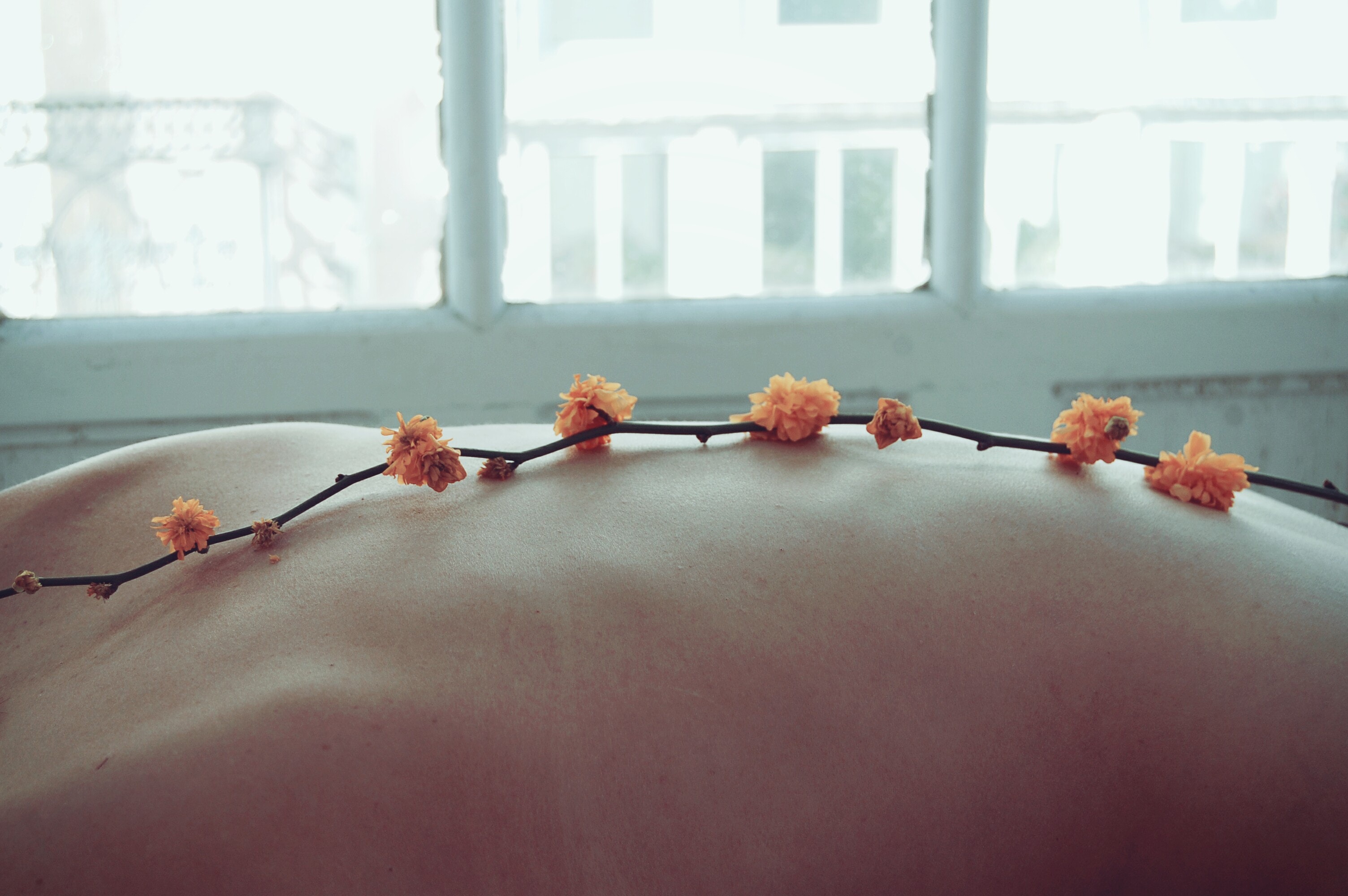 Warts