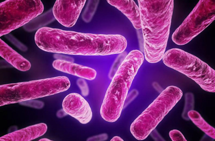 Staphylococci infection